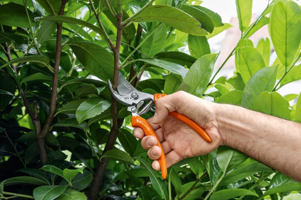 Aiakäärid STIHL PG 20 Aiakäärid STIHL PG 20 – 00008813637