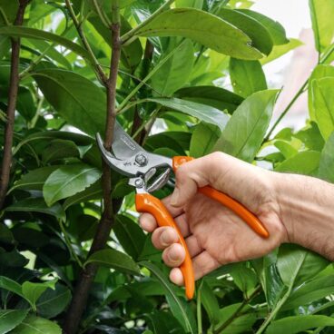 Aiakäärid STIHL PG 20 Aiakäärid STIHL PG 20 – 00008813637