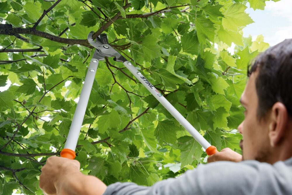 Oksalõikur STIHL PB 30 kuni 50mm Oksalõikur STIHL PB 30 kuni 50mm – STIHL – 00008816500