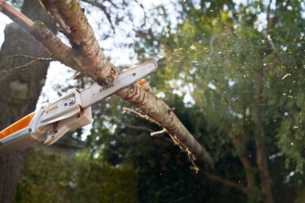 Akukõrglõikur HTA 50 Compact Akukõrglõikur HTA 50 Compact – STIHL – LA020116404