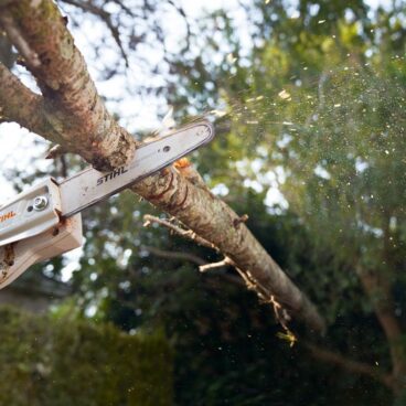 Akukõrglõikur HTA 50 Compact Akukõrglõikur HTA 50 Compact – STIHL – LA020116404