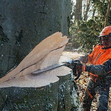 Mootorsaag STIHL MS 661 C-M – STIHL – 11440113054