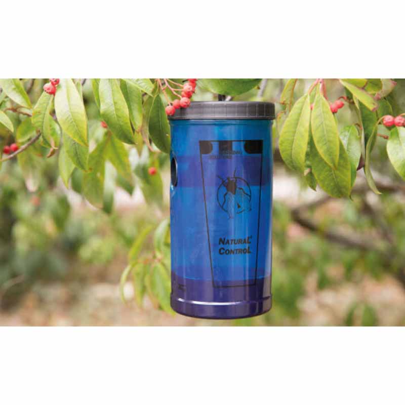 Kärbsepüünis SWISSINNO – SWISSINNO – 1329001