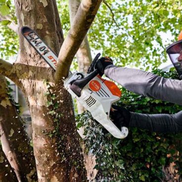 Akusaag STIHL MSA 220 C-BQ PRO KOMPLEKT – STIHL – MA030115817K