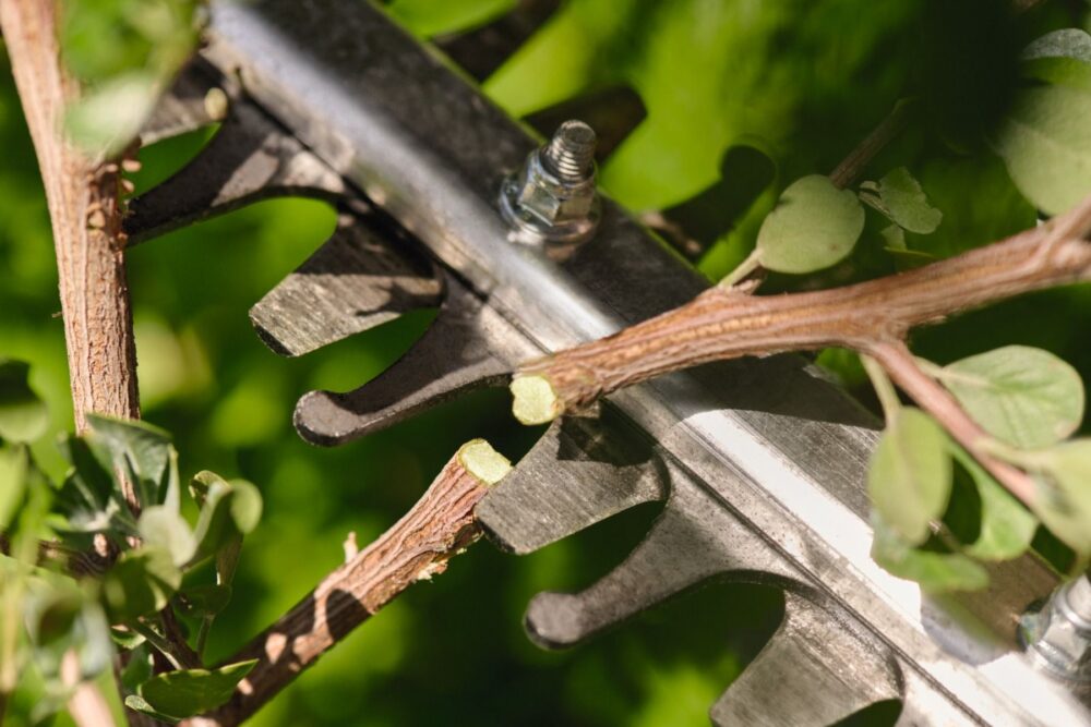 Akuhekipügaja HSA 60 Compact Akuhekipügaja HSA 60 Compact – STIHL – HA060113504