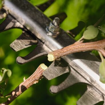 Akuhekipügaja HSA 60 Compact KOMPLEKT – STIHL – HA060113548