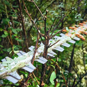 Akuhekipügaja HSA 100 PRO – STIHL – HA070113504