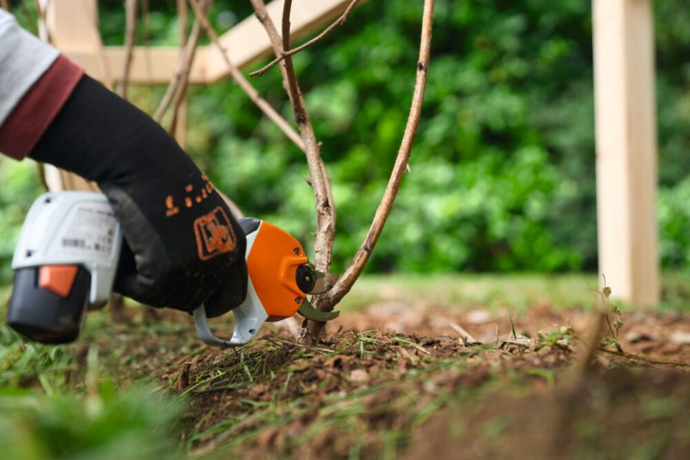 Akuoksakäärid STIHL ASA 20 AS – VA050116200