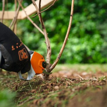 Akuoksakäärid STIHL ASA 20 AS – VA050116200