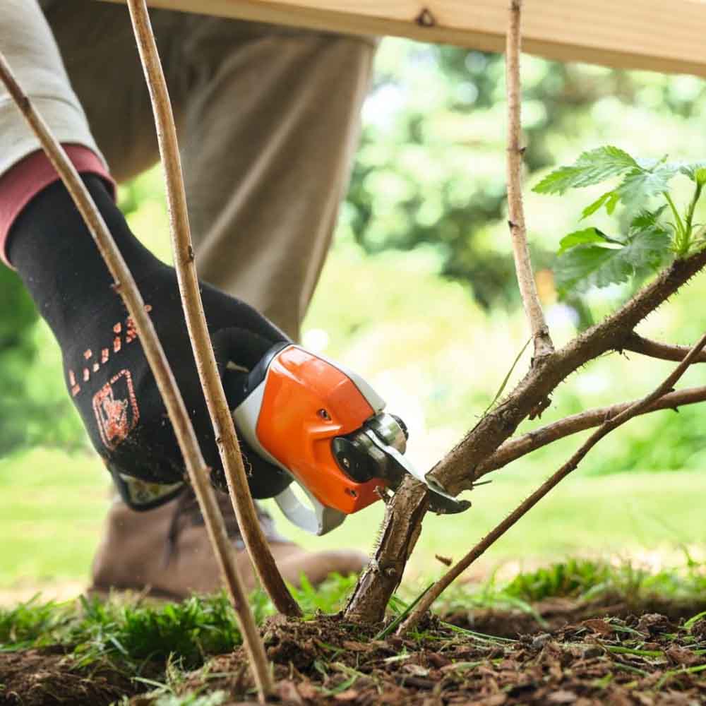 Akuoksakäärid STIHL ASA 20 AS – VA050116200