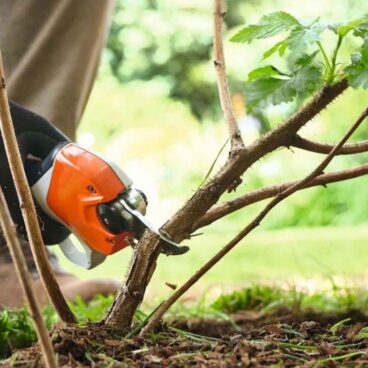 Akuoksakäärid STIHL ASA 20 Komplekt – VA050116210