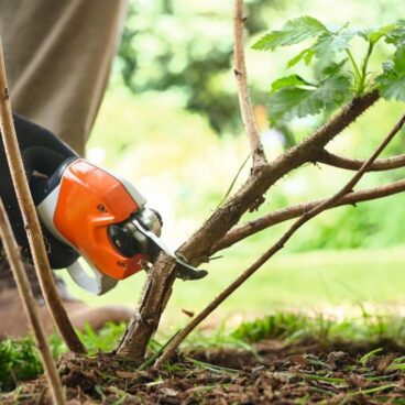 Akuoksakäärid STIHL ASA 20 Komplekt