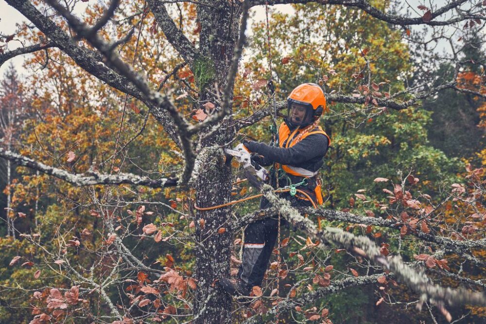 Akuoksasaag GTA 40 AS KOMPLEKT Akuoksasaag GTA 40 AS KOMPLEKT – STIHL – GA040116918