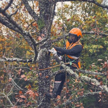 Akuoksasaag GTA 40 AS KOMPLEKT Akuoksasaag GTA 40 AS KOMPLEKT – STIHL – GA040116918