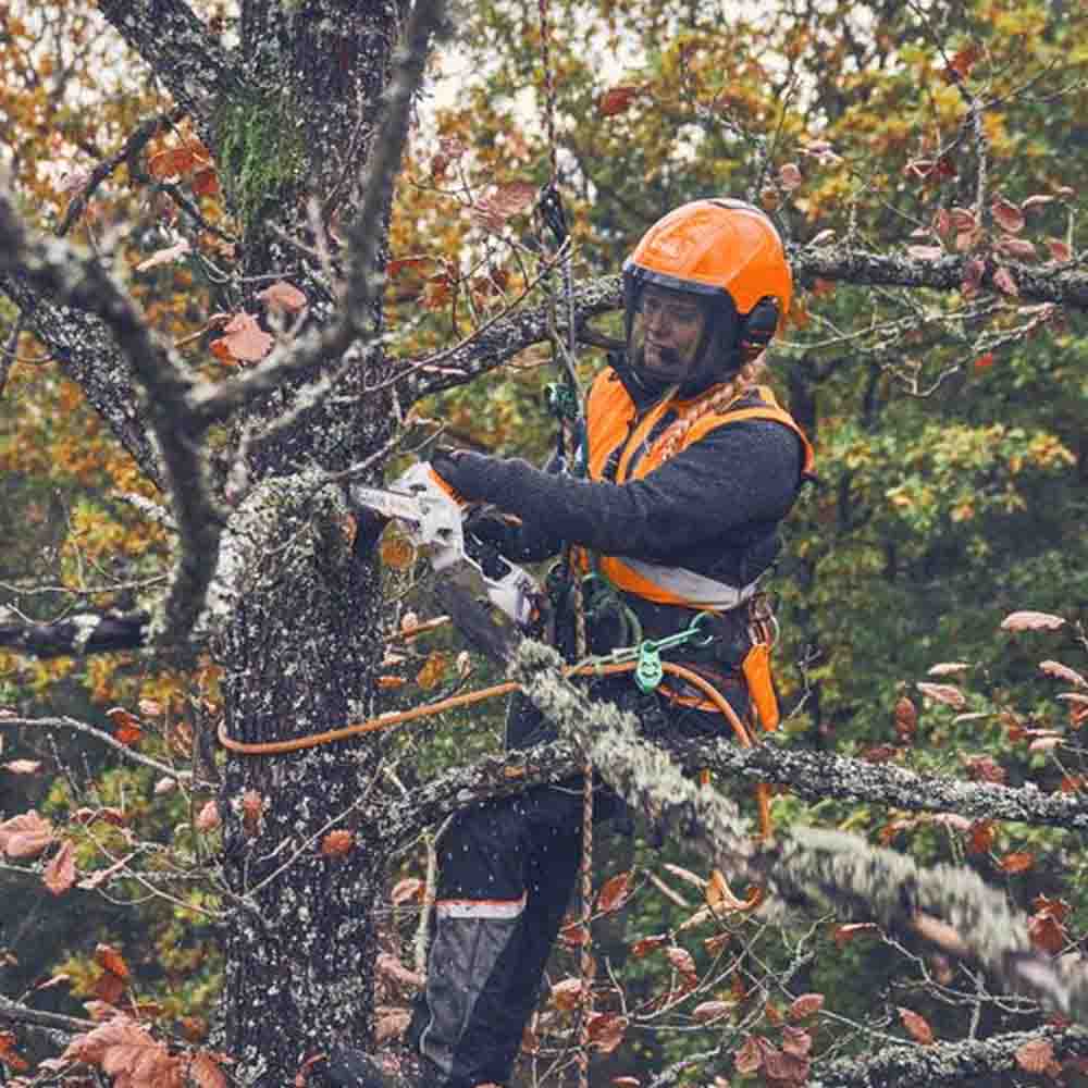 Akuoksasaag GTA 40 AS KOMPLEKT – STIHL – GA040116918