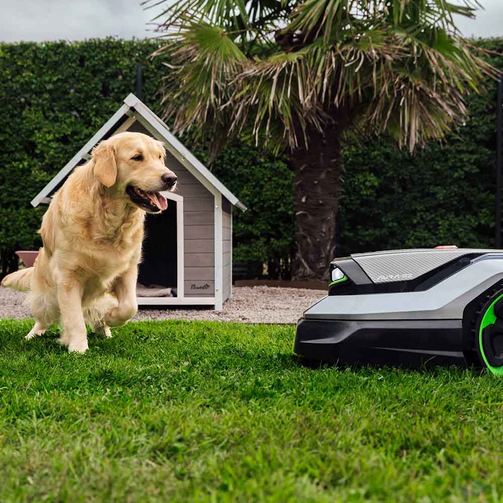 Robotniiduk EGO Aura RMR6000E Robotniiduk EGO Aura RMR6000E – EGO – RMR6000E